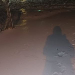 Meet your Posher, Margaret